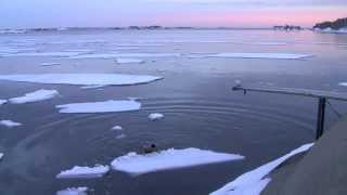 On thin sea ice 1, Norway