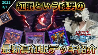 紅眼という謎男が現在使っている最新真紅眼デッキ紹介【遊戯王DUEL LINKS/レッドアイズキング】