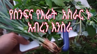 የገጠሯ ነኝ  Tube  is live! የስንፍና የእራት  አስራር ኑ አብረን እንስራ