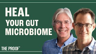 Fermented Foods, Fibre & Immunity | Dr. Sonnenburg & Dr. Gardner | The Proof Podcast Bonus EP