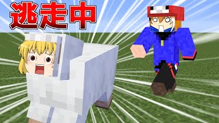 【マイクラ】ゆっくり達がモブに変身して逃走中してみたら超楽しかった！！【ゆっくり実況】