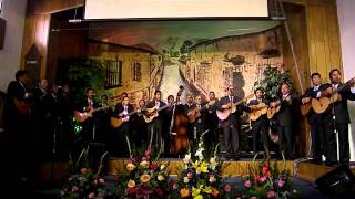 Rondalla Voces y Guitarras \