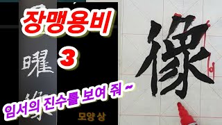 장맹용비 3 임서의 진가를 보여주마~ 임서는 창작의 길잡이~ 북위해서 입문자 필수시청 !!!