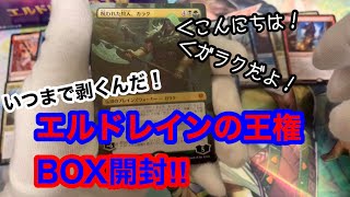 【MTG】またまたエルドレインの王権BOX開封