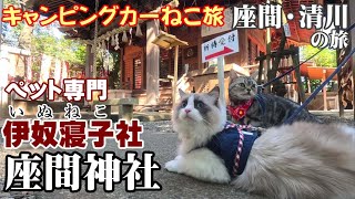 【ねこ旅】座間・清川の旅（２）　ペットと参拝できる神社　座間神社いぬねこ社