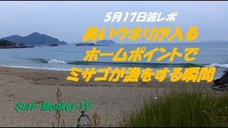 山口萩サーフィン 5月17日 良いウネリのホームポイントでミサゴが漁 ~サーフモンキーTV