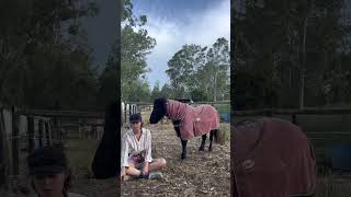 Training an ABUSED rescue pony 😥🥺 Using positive reinforcement \u0026 clicker training 😍