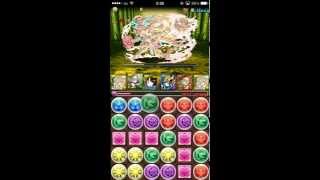 パズドラ　聖獣からの贈り物　一度きりの試練　麒麟出現