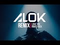 ALLEGRA 'Love You Right Back' ALOK Remix (Official Music Video)