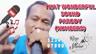 THAT WONDERFUL SOUND | NUMBERS PARODY