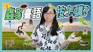 17種昆蟲的台語｜17種蟲豸ê臺語【Lisa的臺語教室 51】