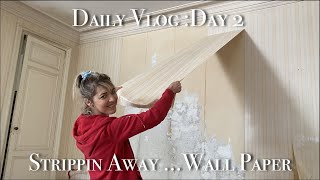 EP49 Daily Vlog :How to remove wallpaper easily Day 2 of 7 day Transformation Challenge