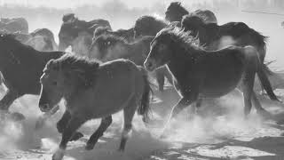 Photo shooting at the Paesang of Inner Mongolia