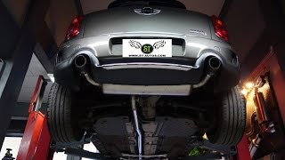 (ST AUTOS) BMW MINI COUNTRYMAN JCW Exhaust+ Akrapovic Carbon Tips