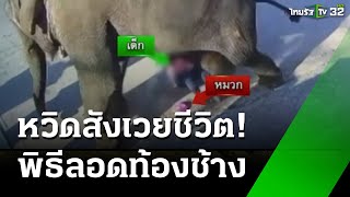 ระทึก! ลอดท้องช้าง หวิดถูกเหยียบ | 6 ม.ค. 68 | ข่าวเที่ยงไทยรัฐ