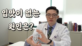 입맛이 없는 원인은? 위무력증일 수 있습니다.