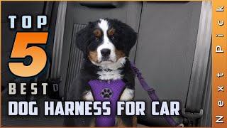Top 5 Best Dog Harness for Cars Review in 2023