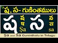 ష, స గుణింతాలు | Sha, sa gunintham | How to write Sha, Sa guninthalu |Telugu varnamala Guninthamulu