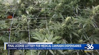 Final lottery for medical cannabis dispensary licences