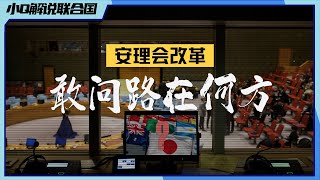 【侃侃联合国】安理会改革：敢问路在何方？丨小Q解读联合国