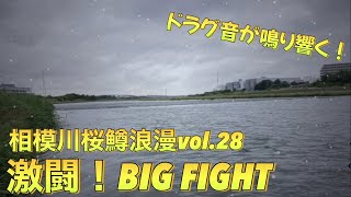 【激闘BIG FIGHT】相模川桜鱒浪漫を求めて Vol.２８