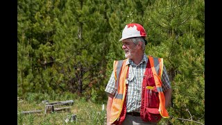 A Review and the Potential for Developing a Mixedwood Regeneration Model  | FGrOW Webinar Series #10