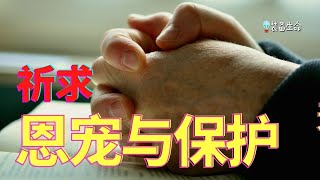 祷告力量大 30 - 有力量的清晨祷告 - 祈求神的恩宠、怜悯与保护 l  以这祷告开始一天 l 做完这祷告才出门 l 我在一天的开始将蒙受祝福，在一天结束之后也同样蒙受祝福 l 装备生命