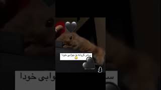 خودای گەورە چەند بە جوای ئەفەرمێت دوای هەموو ناخۆشیەک خۆشی دێ ئێ ئیدی بۆ خۆمی بۆ بێتاقەت بکەم😌