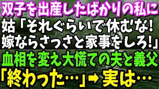 【スカッと】双子を出産して退院直後の私に義母「さっさと家事しろ！」その後、慌てた夫「何してくれたんだ！」姑「え？」→実は…