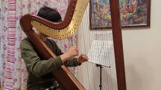 ハープ独奏 我が祖国より「モルダウ」作曲 スメタナ #Harp #ハープ