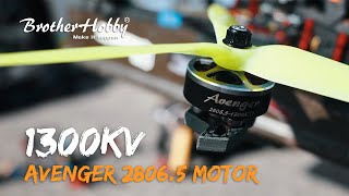 BrotherHobby Avenger 6S 2806.5 1300KV Motor Drop Test