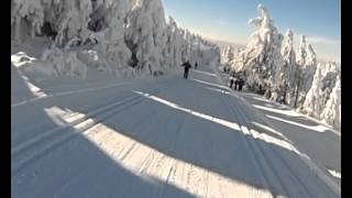 Skate Skiing on the Fichtelberg