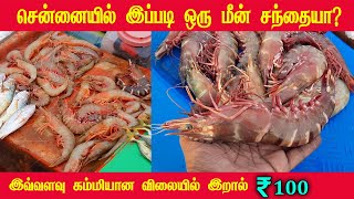 Chennai Ecr Fish Market | Nainarkuppam Fish Market | Fresh Fish Market in Chennai