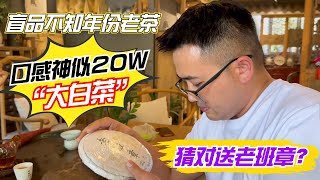 猜对送老班章？阿伟盲品不知年份老茶，口感神似20W“大白菜”！購茶請加微信WeChat或LINE：csaw01 （微信與LINE同號）#茶 #茶叶 #普洱茶 #古树茶#老班章#易武#喝茶