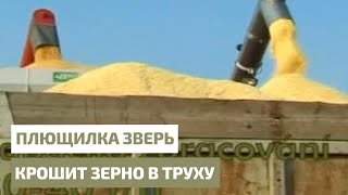 Плющилка зверь крошит зерно в труху