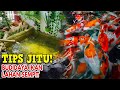 USAHA SAMPINGAN BUDIDAYA IKAN DI LAHAN SEMPIT  dan TIPS JITU AGAR BERHASIL!