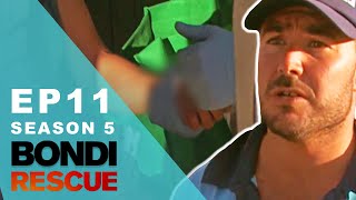 Woman Is A Danger To Herself At The Beach | Bondi Rescue - Season 5 Episode 11 (OFFICIAL UPLOAD)