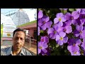 english ep 237 on divine force ll er subas kar ll bhubaneswar ll