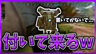 猫みたいすり寄ってくる野良が可愛い / Apex Legends