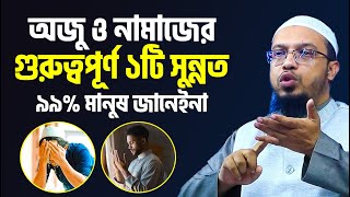 অজু ও নামাজের যে সুন্নতটি বেশিরভাগ মানুষ জানেইনা । অজু ও নামাজের বিশেষ সুন্নত আমল শায়খ আহমাদুল্লাহ