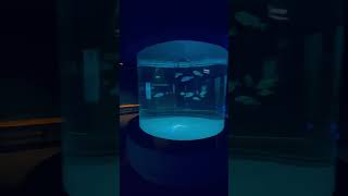 Beautiful | Aquatic Gallery | Science city | Ahmedabad