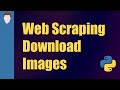 Scraping and Downloading Images with Python | Web Scraping for Beginners Part 5