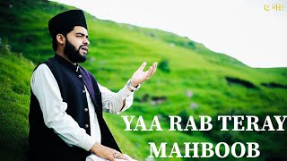 Ya Rab Teray Mahboob | Hafiz Muhammad Haseeb Tariq Naats | Best Naats