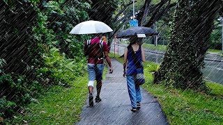 4K Rain Walk Within A Typical Heartland HDB Estate (Depot Road, Singapore) Nostalgic Singapore