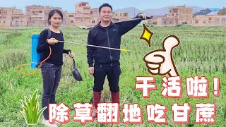 田里杂草丛生，阿城和媳妇一起除草，希望能有个好收成！【广西阿城】