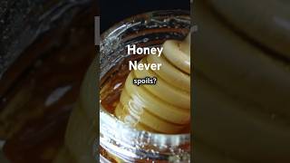 Did You Know Why Honey Never Spoils? 💡 #shorts