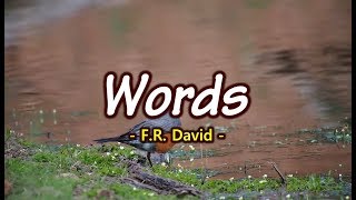 Words - F.R. David (KARAOKE VERSION)