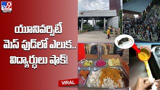 విద్యార్థులు తినే పప్పులో ఎలుక ! || Chandigarh Lovely University - TV9