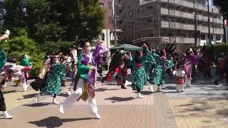 総踊り② 夢をつなぐよさこい古淵