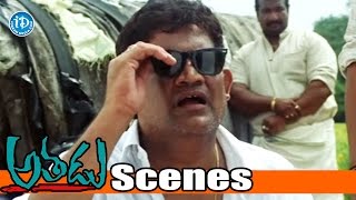 Athadu Movie Scenes - Tanikella Bharani Aadu Magadura Bujji Scene - Mahesh Babu | Trisha